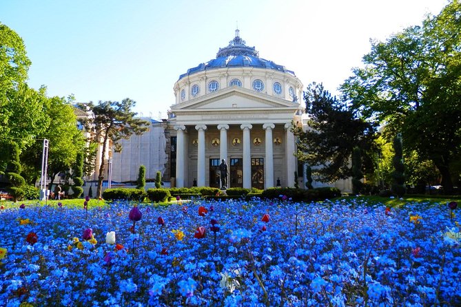 Bucharest Layover Tour (6 - Hour Private City Tour Between Flights) - Key points to know before booking