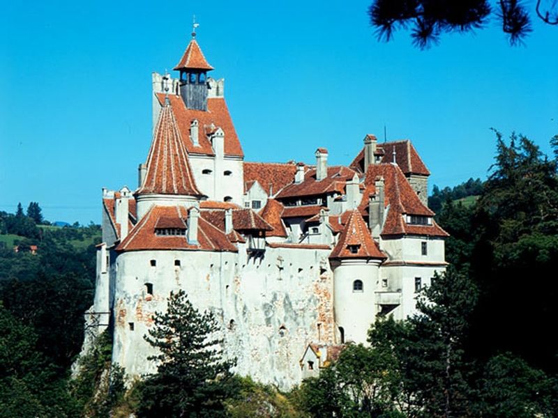 Bucharest: Peles Castle, Dracula's Castle and Brasov Tour - Three Transylvanian icons in one very long day