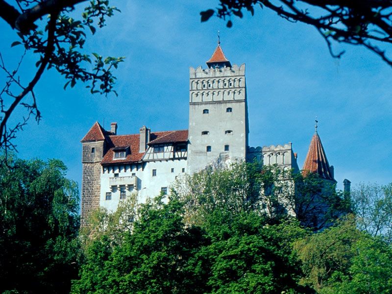 Bucharest: Peles Castle, Dracula's Castle and Brasov Tour - Timing, comfort, and walking demands