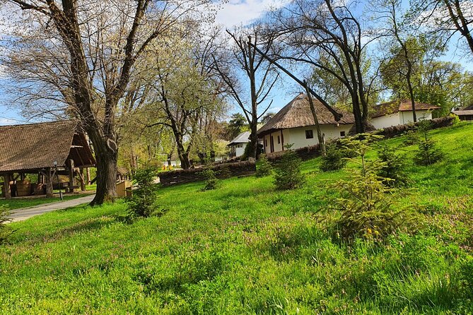 Bucharest Private Tour with Dracula's Grave and Ceaușescu Mansion - Guides, private transport, and the pace of the day