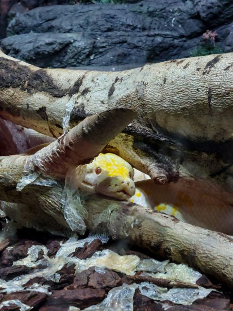 Bucharest: Reptiland Bucharest Entry Ticket - The tropical forest comes first