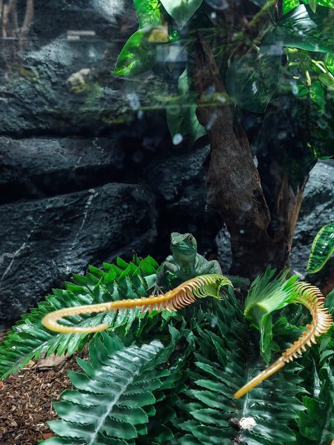 Bucharest: Reptiland Bucharest Entry Ticket - Why the automated terrariums matter