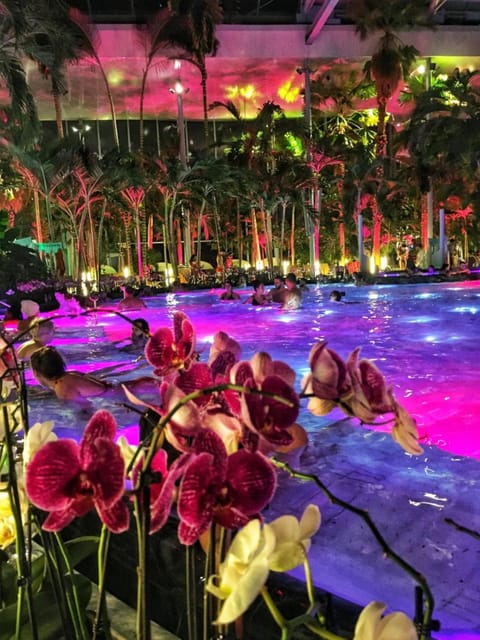 Bucharest: Therme Spa Night Experience with Transfer - What the 250,000-square-meter complex feels like