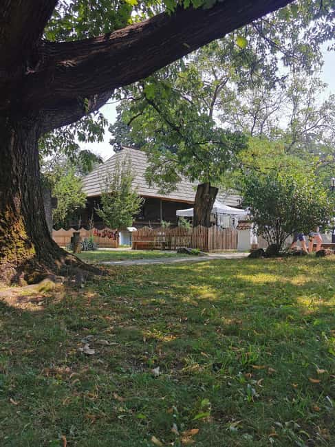 Bucharest: Village Museum Guided Tour - Comparing Romania’s regional building styles