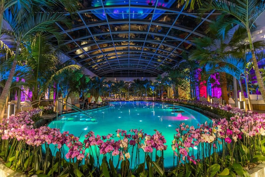 Bucuresti: Therme Bucharest Evening Entry Ticket & Transfer - Crowds, loungers, and the best way to use your time