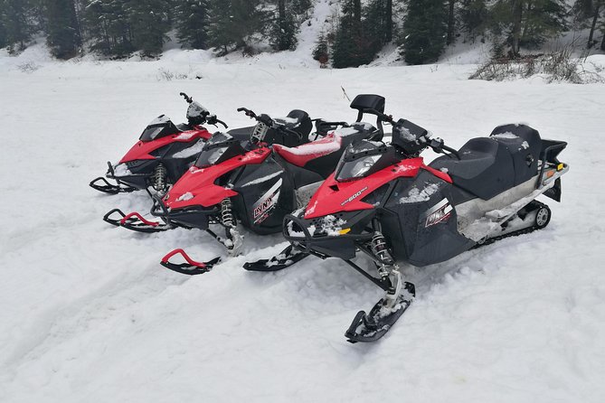Carpathian mountains Snowmobile, ATV or Buggy tour in one day - Peles Castle brings the history first