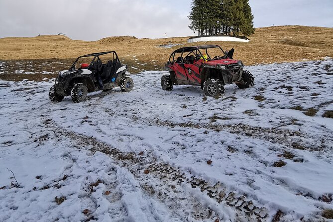 Carpathian mountains Snowmobile, ATV or Buggy tour in one day - Who should book this Carpathian day trip