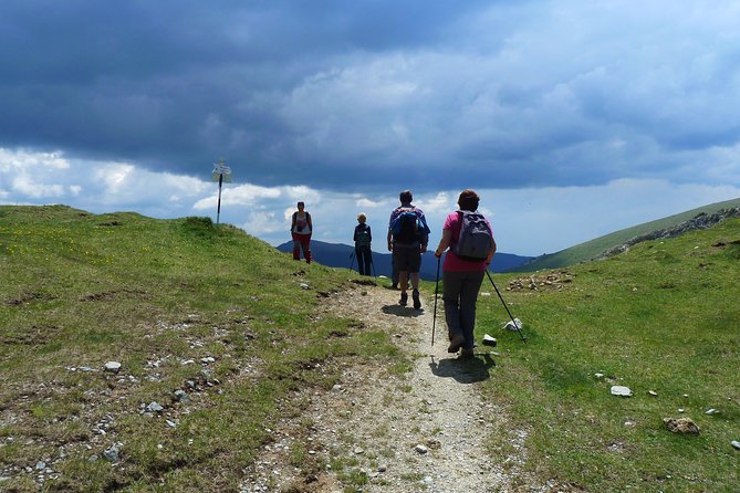 Carpathians in Romania: Bucegi Natural Park with native Spanish guide. - A full day in the western Bucegi Mountains
