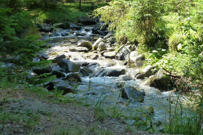 Carpathians in Romania: Bucegi Natural Park with native Spanish guide. - Vârful Bucșa and the high point of the day