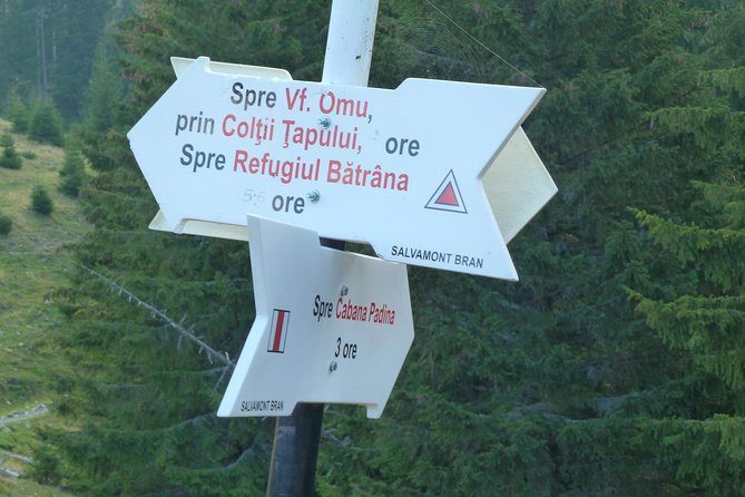 Carpathians in Romania: Bucegi Natural Park with native Spanish guide. - Price, inclusions, and the real value