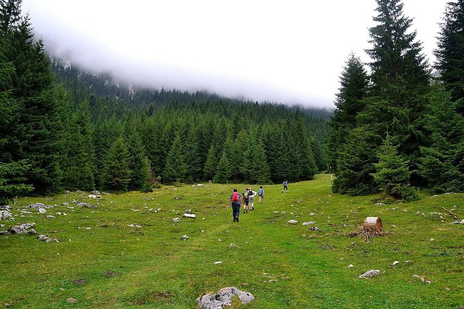 Carpathians in Romania: Piatra Craiului National Park with native Spanish guide. - Starting at Fantana lui Botorog