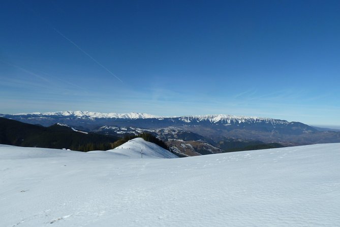 Carpathians in Romania: Piatra Craiului National Park with native Spanish guide. - Returning through Poiana Zanoaga