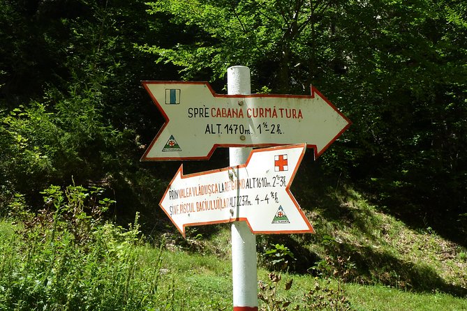 Carpathians in Romania: Piatra Craiului National Park with native Spanish guide. - Is $96.33 a fair price?