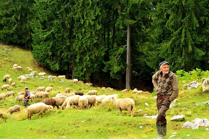 Carpathians in Romania: Piatra Craiului National Park with native Spanish guide. - Who should book this experience?