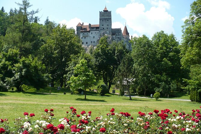 Castles Private Tour Peles - Bran - Rasnov from Brasov - Practical tips for a smoother day