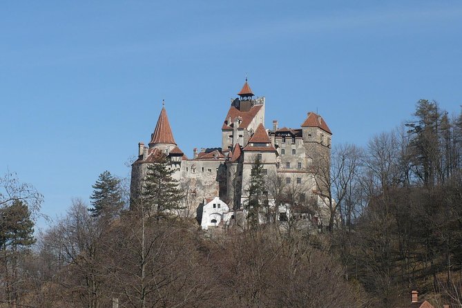 Castles Private Tour Peles - Bran - Rasnov from Brasov - Price, group size, and what you actually get