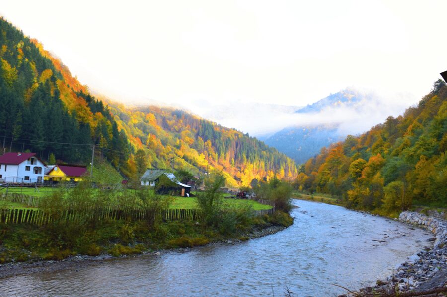 CJ03 - Day trip to Maramures Mocanita Train from Cluj Napoca - Arriving in Vișeu de Sus
