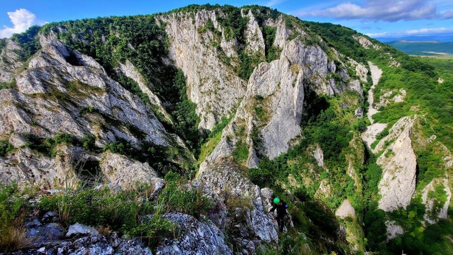 Cluj Napoca: Climbing or Hiking Experience in Turda Canion - What Turda Gorge feels like from river level