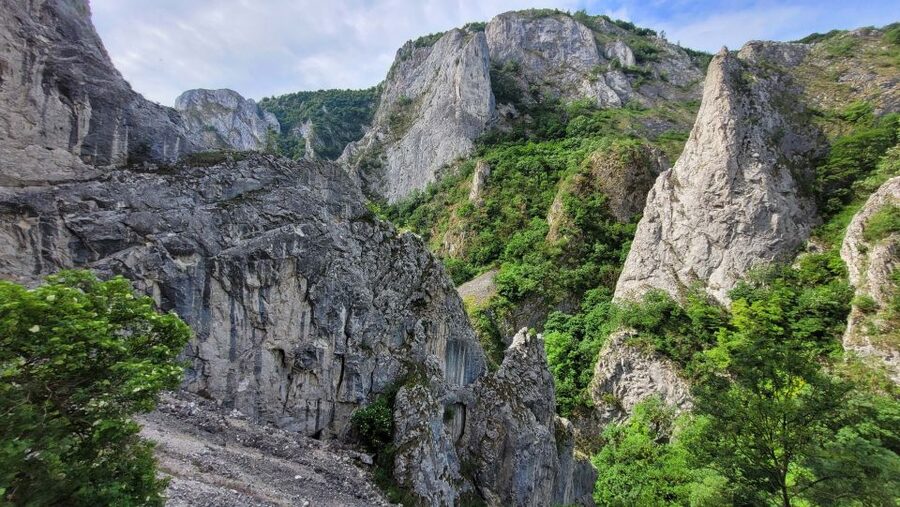 Cluj Napoca: Climbing or Hiking Experience in Turda Canion - The 15-minute walk through the gorge
