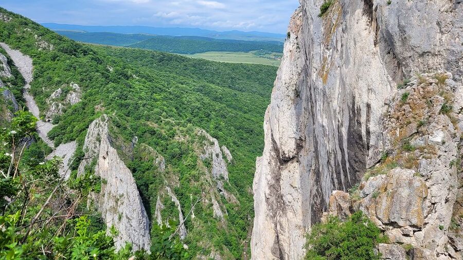 Cluj Napoca: Climbing or Hiking Experience in Turda Canion - What the $124 price includes