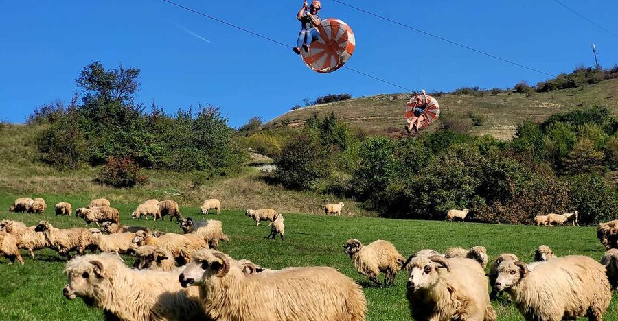 Cluj: Outdoor Activities Day Trip with Zip Line and Hike - The 600-meter flight over the gorge
