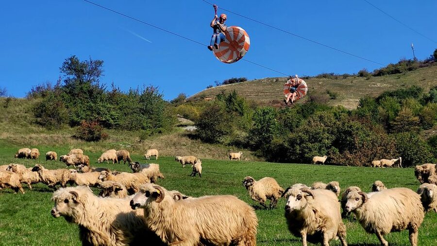 Cluj: Outdoor Activities Day Trip with Zip Line and Hike - Who should book this day trip?
