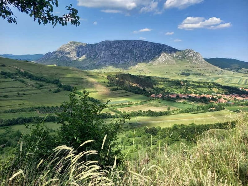 Cluj: Turda Salt Mines, Rimetea, and Coltesti Fortress Tour - Who will get the most from this day