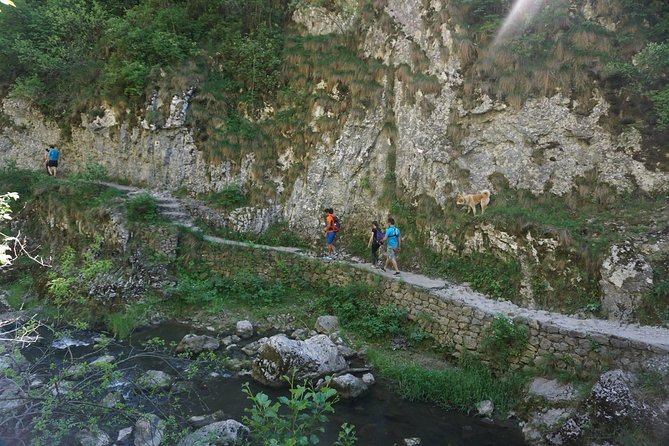 Curly Tour - Day trip from Cluj :) - The guide and the feel of the day
