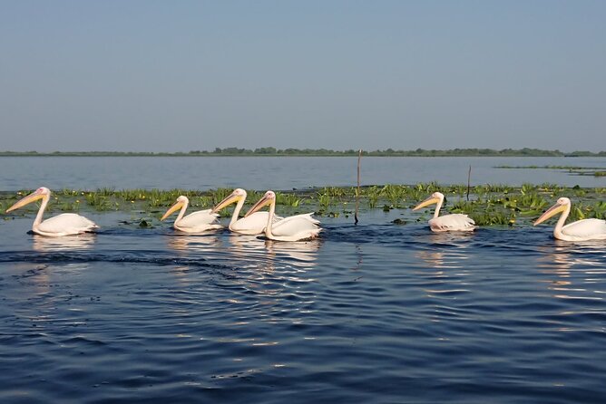 Daily Tours in the Danube Delta - Camely Cruise - The Camely boat and onboard comforts
