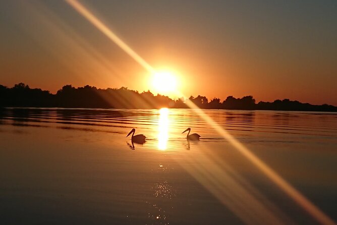 Daily Tours in the Danube Delta - Camely Cruise - Weather, crowding, and the fine print