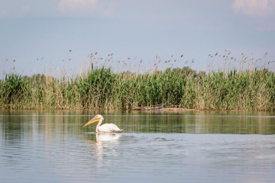 Danube Delta - 2-Day Tour from Bucharest - Should you book the Danube Delta tour?