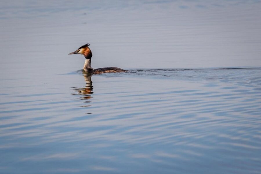 Danube Delta - 2-Day Tour from Bucharest - Day 1: Constanta puts the Delta in context
