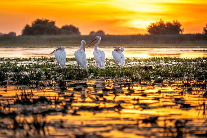 Danube Delta and Black See - 2 Days Private Tour from Bucharest - Constanta Casino promenade and the Black Sea