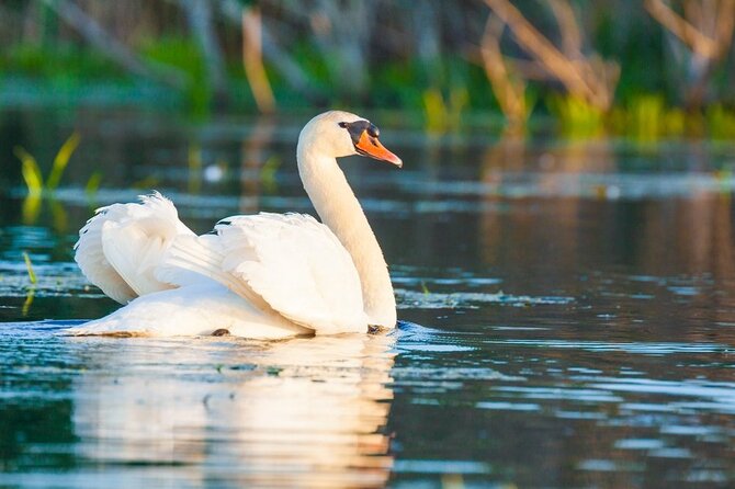 Danube Delta and Black See - 2 Days Private Tour from Bucharest - Guides who make the private format useful