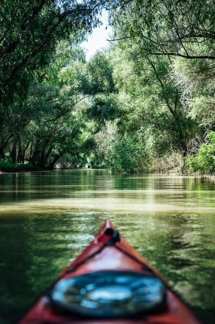 Danube Delta: Boat Tour Through the Water Lily Reserve - Why two hours is a useful length