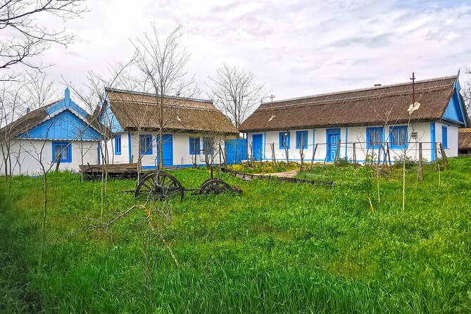Danube Delta PRIVATE boat trip to Letea Forest (guided tour) - Why this Danube Delta trip is worth your day