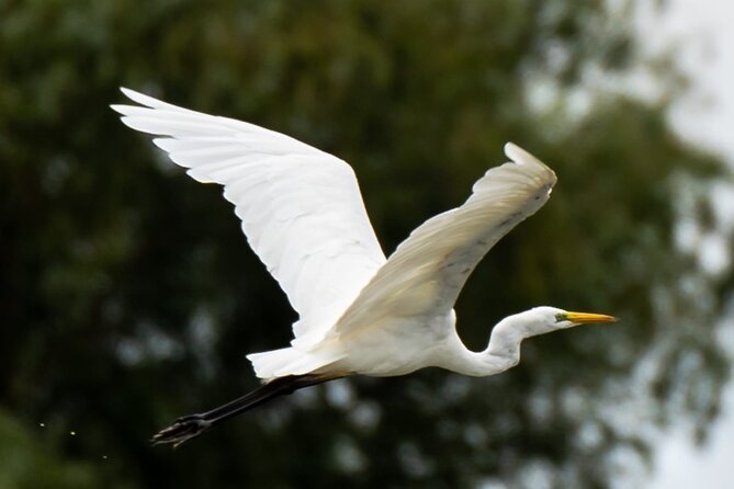 Danube Delta - Private Tour with Boat Trip & Traditional Lunch - Is $227.70 a fair price?