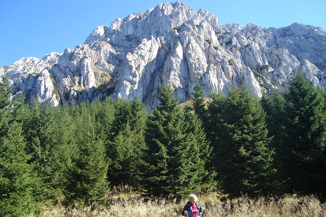 Day Hike in Carpathian Mountains for all levels in five areas - What the guides add to the day