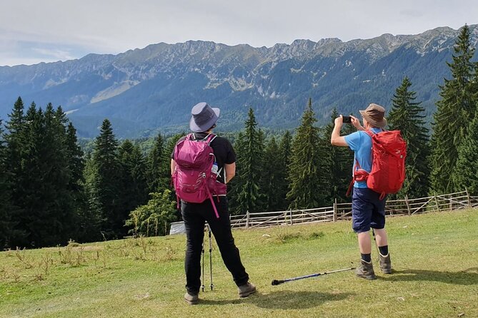 Day Hike in Carpathian Mountains for all levels in five areas - Meeting in Brasov and returning after the hike