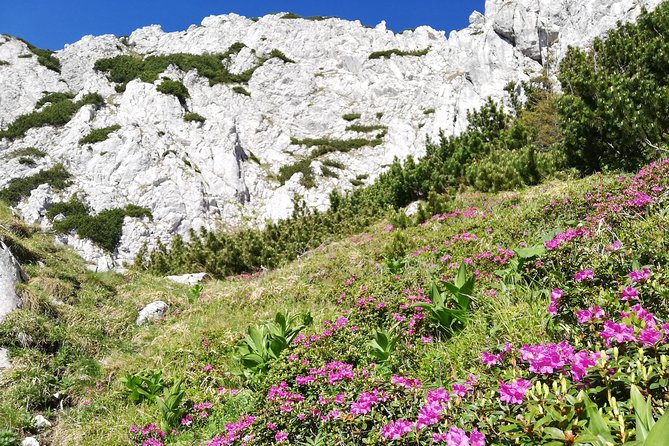 Day Hike PRIVATE - Piatra Craiului National Park - Zarnesti Canyon and its steep cliff walls