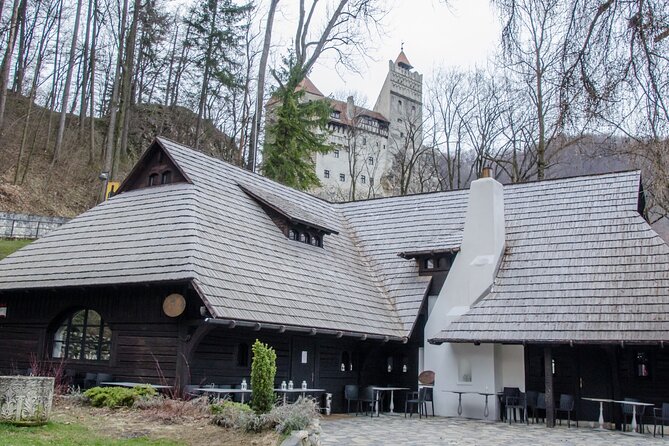 Day Trip Bear Sanctuary, Bran Castle, Rasnov Fortress from Brasov - Why this combination works from Brasov