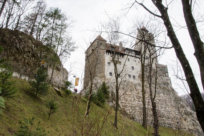Day Trip Bear Sanctuary, Bran Castle, Rasnov Fortress from Brasov - Bran Castle and the Dracula connection