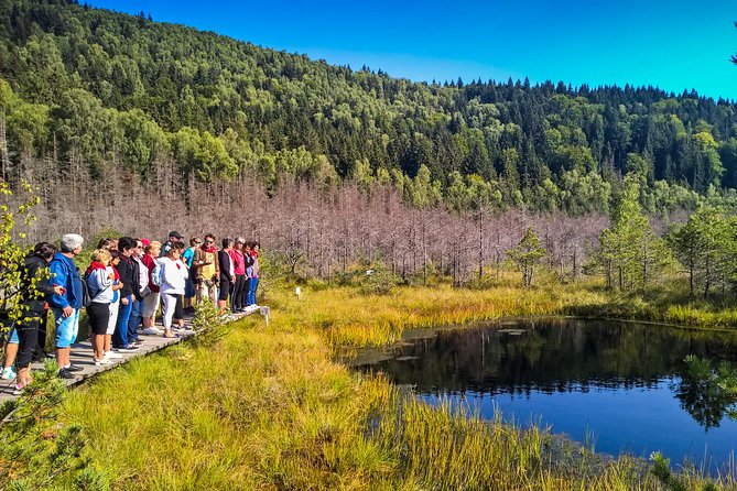 Day Trip & Bear Watching in the Land of Volcanoes - Saint Anna Lake, Romania’s only volcanic crater lake