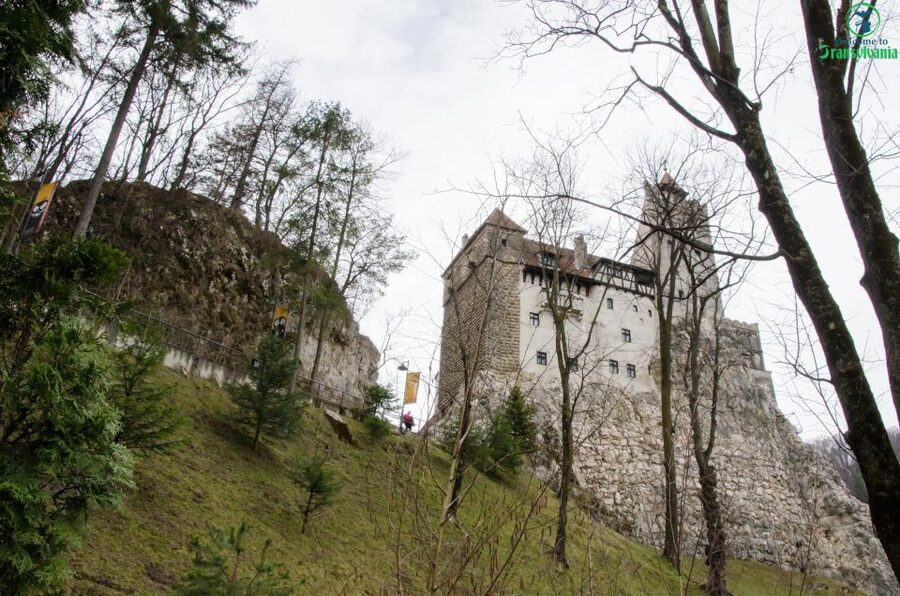 Day trip Bran Castle, Rasnov Fortress and Bear Sanctuary - Bran Castle: separating Dracula from the real place