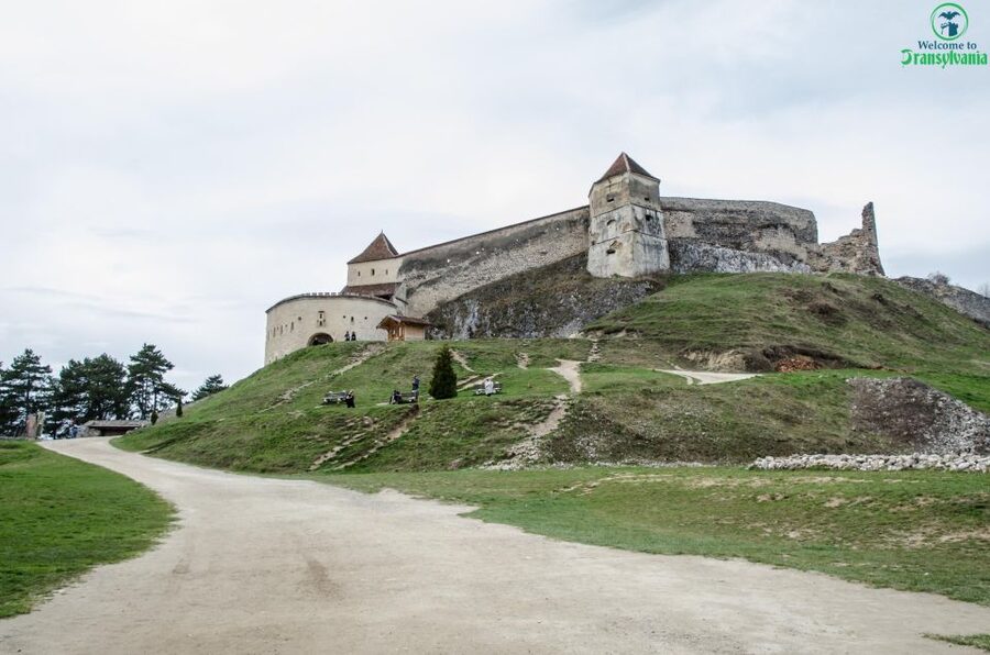 Day trip Bran Castle, Rasnov Fortress and Bear Sanctuary - What the guide adds to the day