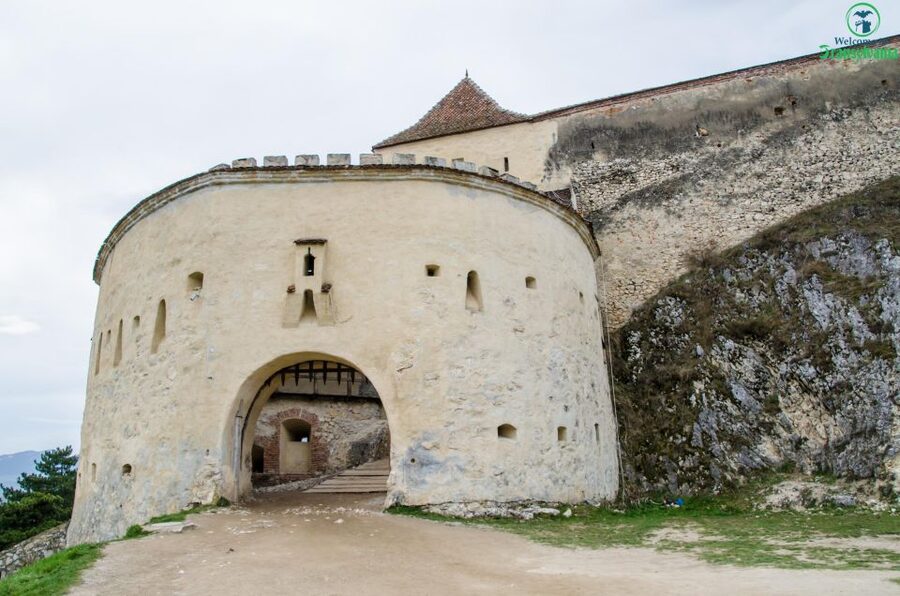 Day trip Bran Castle, Rasnov Fortress and Bear Sanctuary - Should you book it?