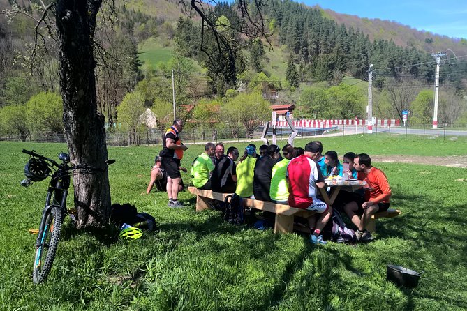 Day trip from Brasov: Bison reserve & traditional lunch - A Romanian lunch in a local household