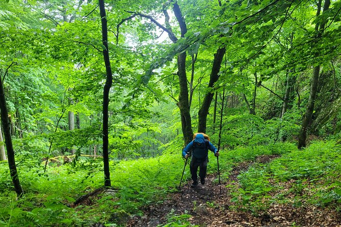 Discover Apuseni Mountains - Scarita Summit,Sipote Waterfall and Dumesti Village - Who should choose this mountain day