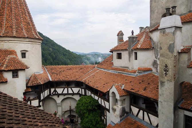 Dracula and Peles Castles Premium Tour with Hotel pick-up - Guides can make or break the long drive