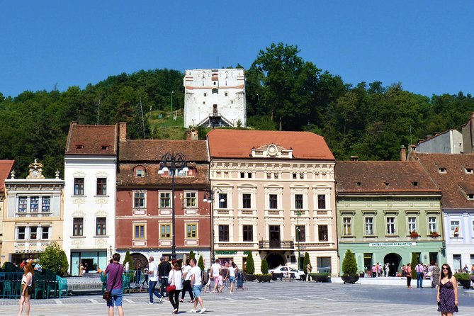 Dracula Castle, Peles and Transylvania, Premium Private Tour - The private guide makes a difference